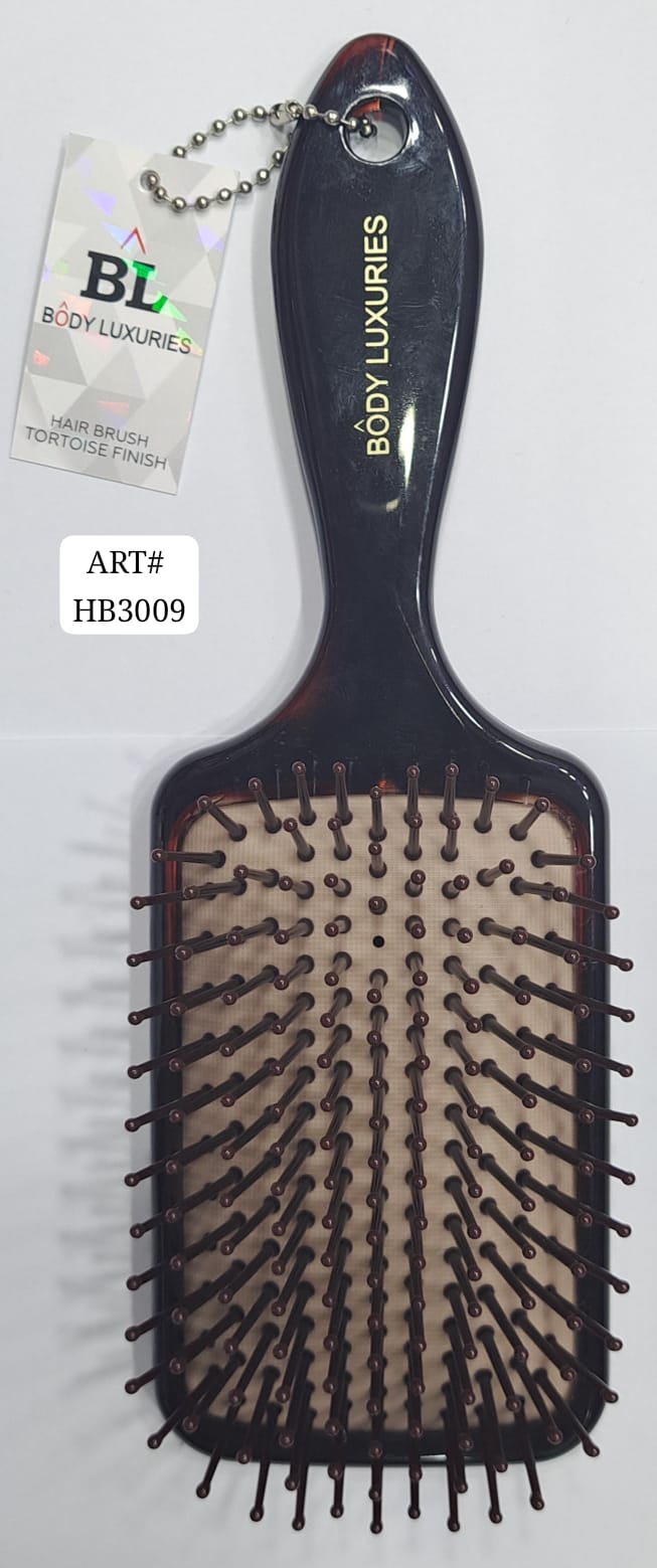 HB 3009