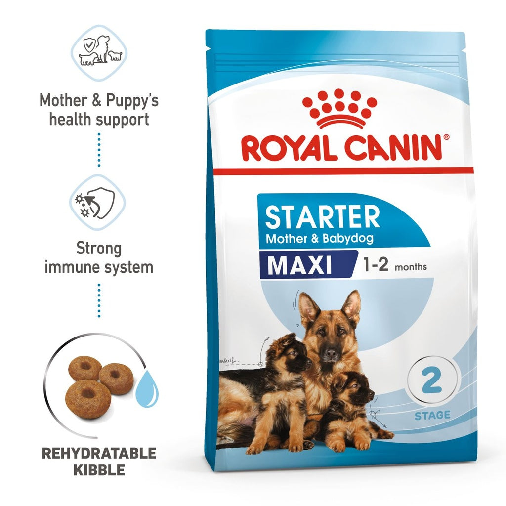 Royal Canin - Maxi Starter Dry Food