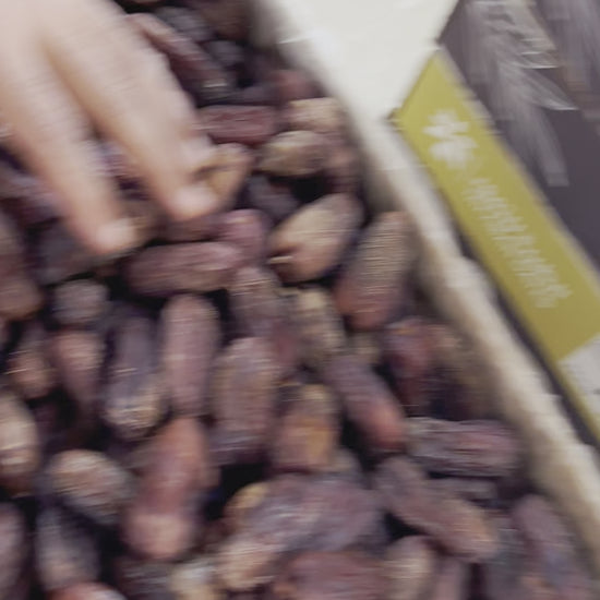 Dates in Paradise